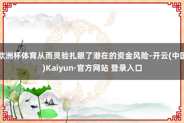 欧洲杯体育从而灵验扎眼了潜在的资金风险-开云(中国)Kaiyun·官方网站 登录入口
